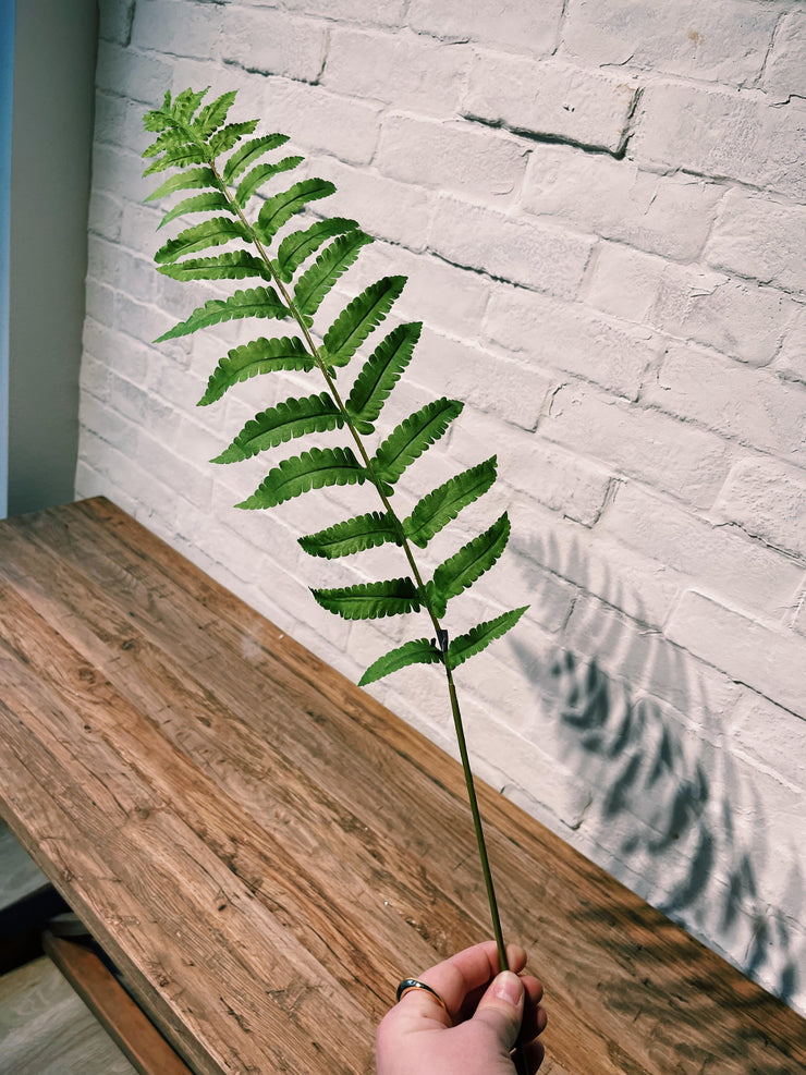Fern Spray